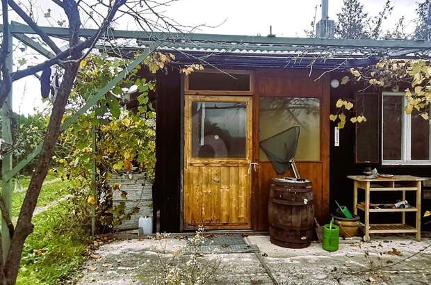 Gewerbeobjekt kaufen in 7064 Oslip (Bild 3)