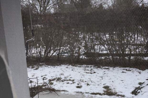 Wohnung mieten in 4063 Hörsching (Bild 4)