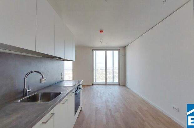 Terrassenwohnung mieten in 1220 Wien (Bild 1)