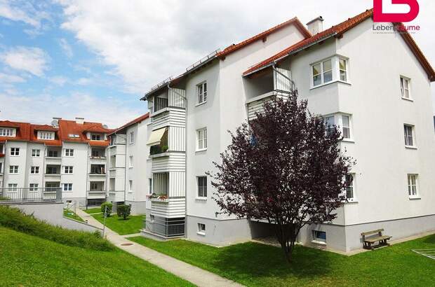 Wohnung mieten in 4563 Micheldorf (Bild 5)