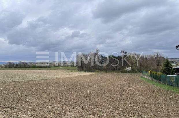 Grundstück kaufen in 3452 Atzenbrugg (Bild 3)