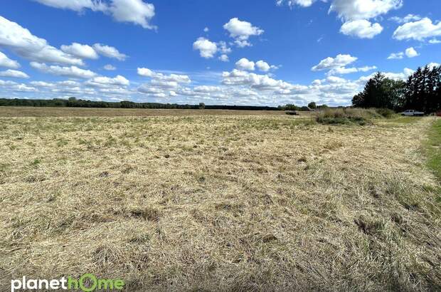 Grundstück kaufen in 7474 Deutsch Schützen (Bild 4)