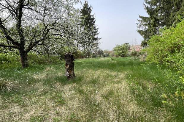 Grundstück kaufen in 8041 Graz (Bild 2)