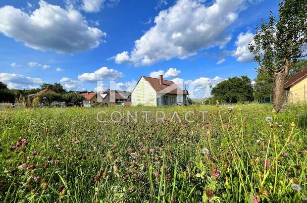 Grundstück kaufen in 3550 Langenlois