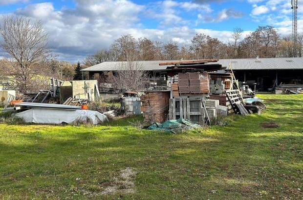 Haus mit Garten kaufen in 2054 Kleinhaugsdorf (Bild 5)