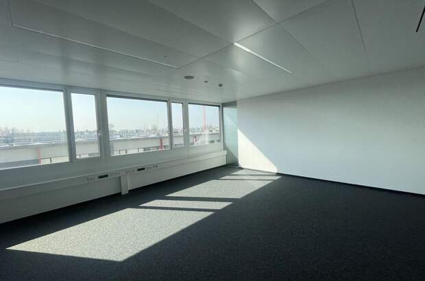 Gewerbeobjekt mieten in 1220 Wien (Bild 3)