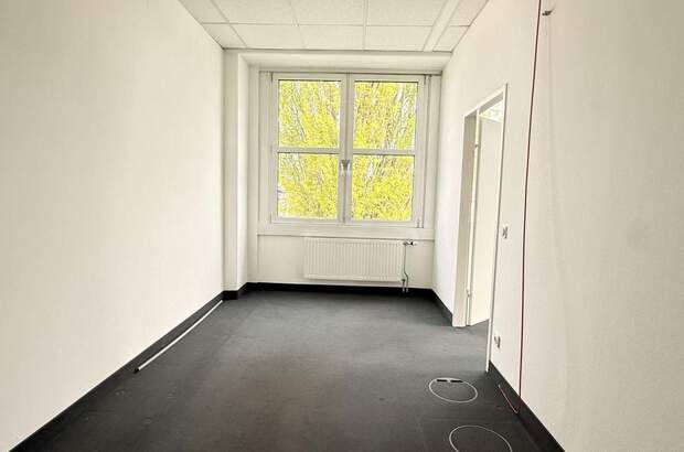 Gewerbeobjekt mieten in 2320 Schwechat (Bild 4)