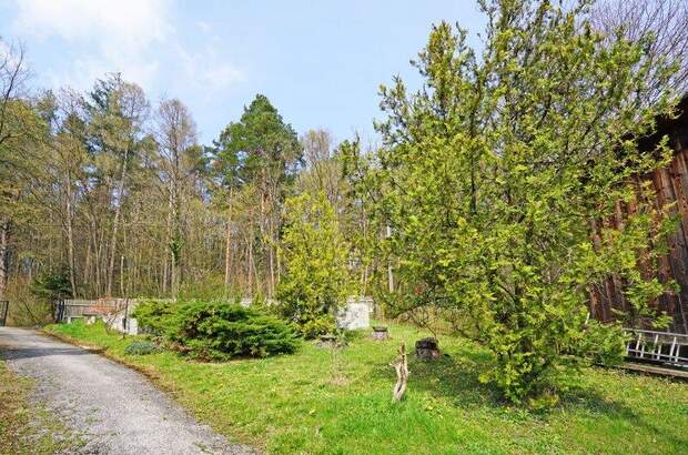 Haus kaufen in 3011 Purkersdorf (Bild 5)