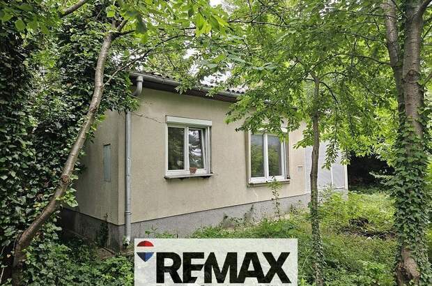 Einfamilienhaus kaufen in 2440 Mitterndorf (Bild 4)