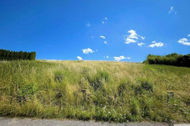 Grundstück kaufen in 4616 Weyerbach (Bild 5)