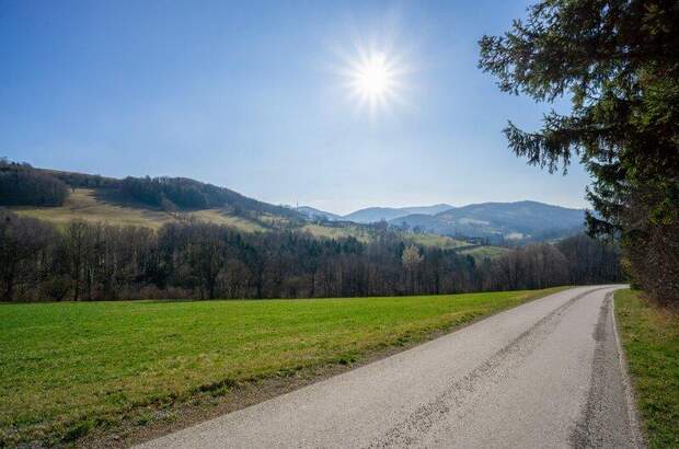 Einfamilienhaus kaufen in 3053 Laaben (Bild 2)
