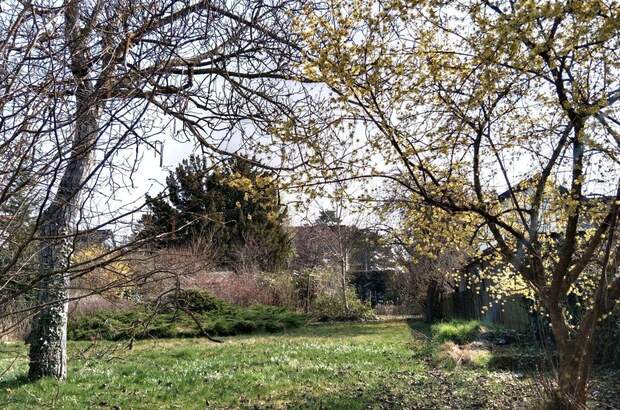 Haus kaufen in 2000 Stockerau (Bild 2)