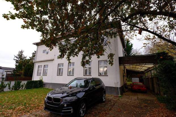 Haus kaufen in 3464 Hausleiten (Bild 5)