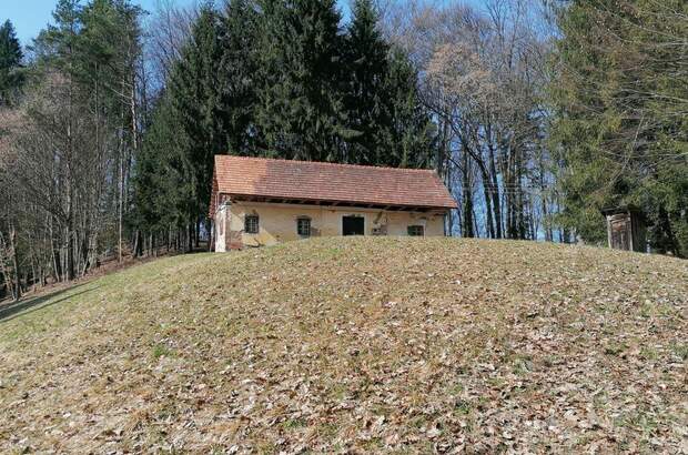 Gewerbeobjekt kaufen in 8461 Ehrenhausen (Bild 1)