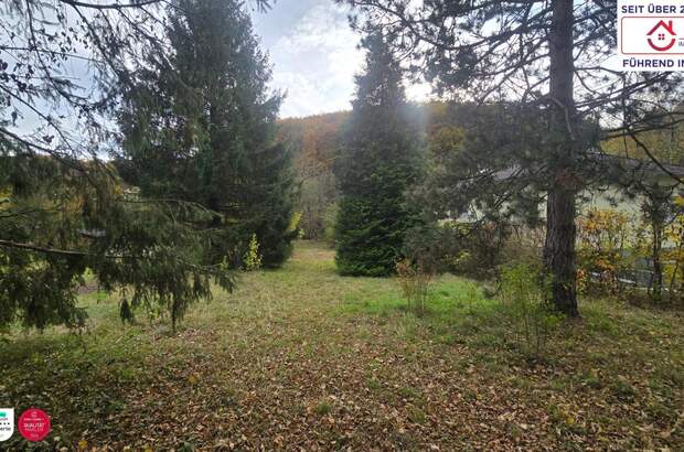 Grundstück kaufen in 3400 Maria Gugging (Bild 4)