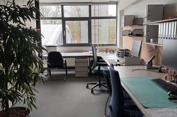 Gewerbeobjekt mieten in 5061 Elsbethen (Bild 3)