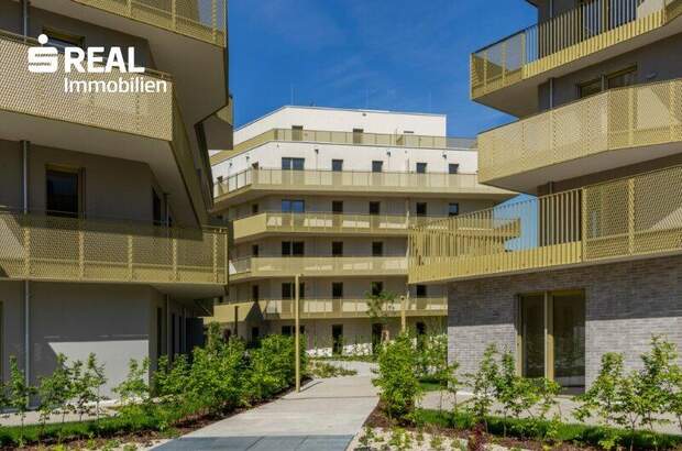 Terrassenwohnung kaufen in 1210 Wien (Bild 2)