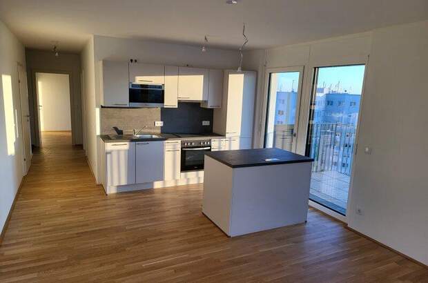 Terrassenwohnung mieten in 1220 Wien (Bild 1)
