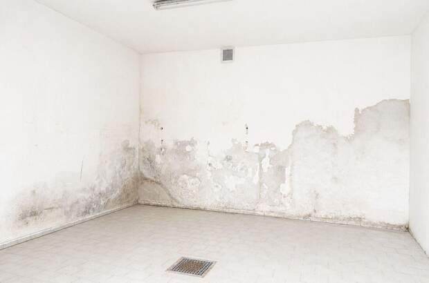 Haus kaufen in 1160 Wien (Bild 5)