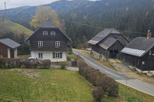 Gewerbeobjekt kaufen in 9543 Arriach (Bild 5)