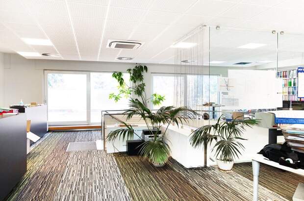 Gewerbeobjekt kaufen in 4614 Marchtrenk (Bild 4)