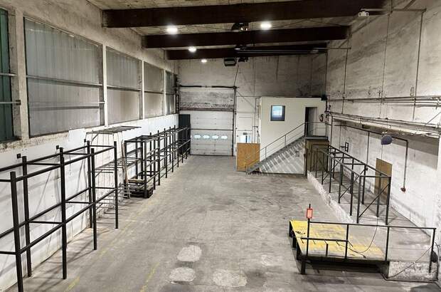 Gewerbeobjekt mieten in 4600 Thalheim (Bild 1)