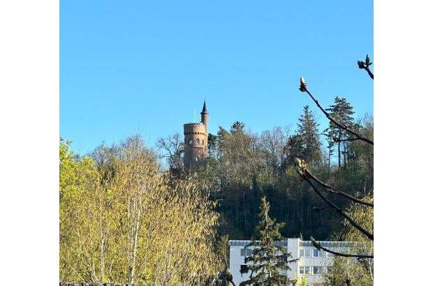 Grundstück kaufen in 4600 Wels (Bild 2)