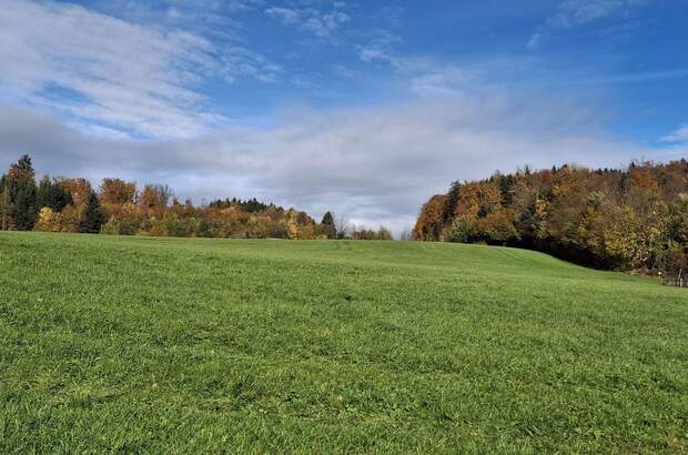 Grundstück kaufen in 5101 Bergheim (Bild 2)