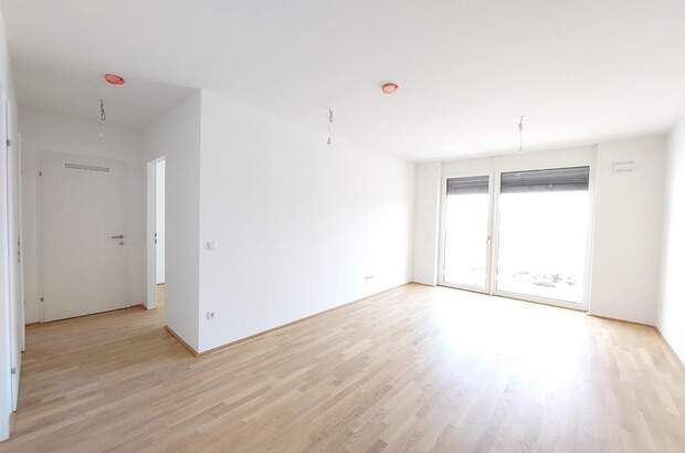 Terrassenwohnung kaufen in 2460 Bruck an der Leitha (Bild 1)