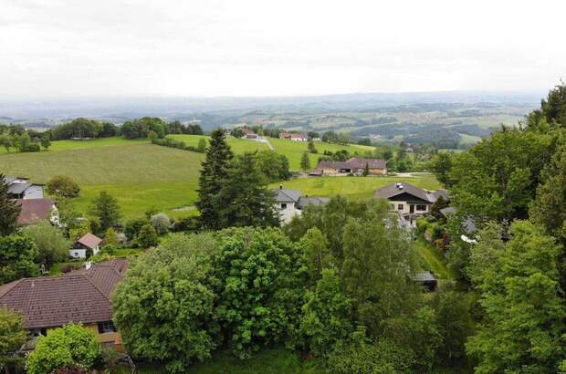 Grundstück kaufen in 4201 Eidenberg (Bild 5)