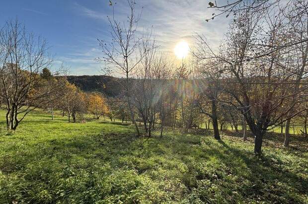 Grundstück kaufen in 8362 Ruppersdorf (Bild 1)