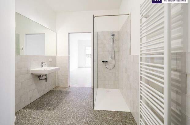 Terrassenwohnung kaufen in 1080 Wien (Bild 3)