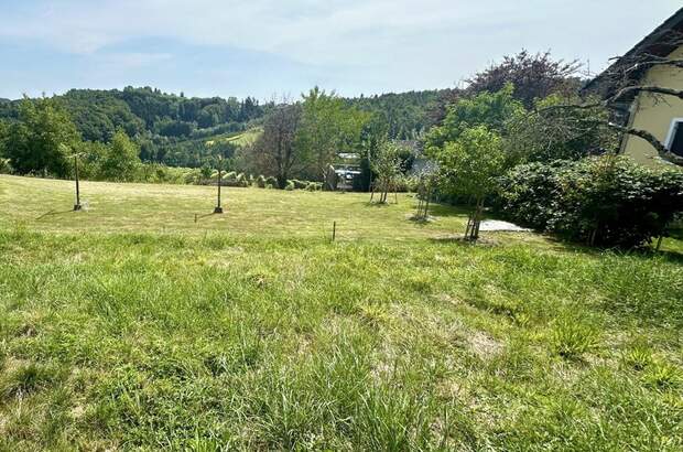 Haus kaufen in 8200 Gleisdorf (Bild 5)