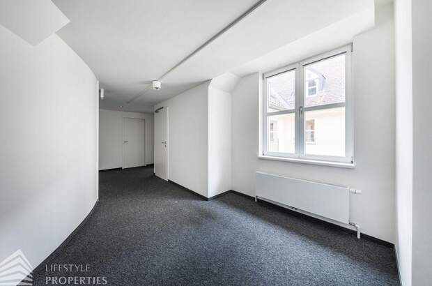 Gewerbeobjekt mieten in 1010 Wien (Bild 4)