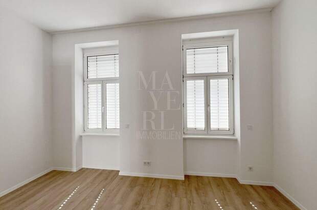 Gewerbeobjekt mieten in 1070 Wien (Bild 3)