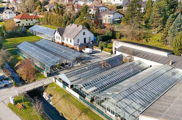 Grundstück kaufen in 3434 Katzelsdorf (Bild 1)