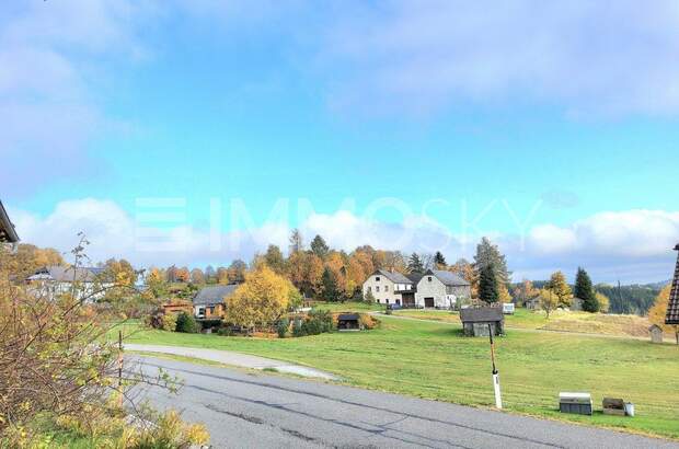 Mehrfamilienhaus kaufen in 4252 Liebenau (Bild 3)