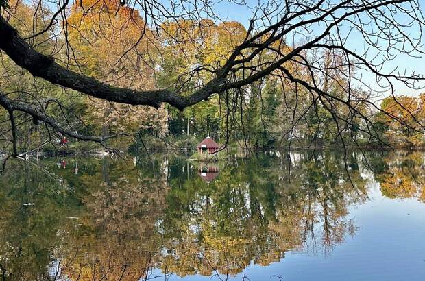 Grundstück kaufen in 2486 Pottendorf (Bild 5)