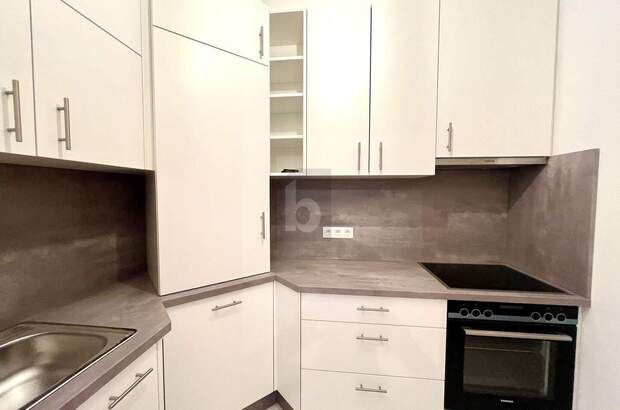 Terrassenwohnung kaufen in 1130 Wien (Bild 4)