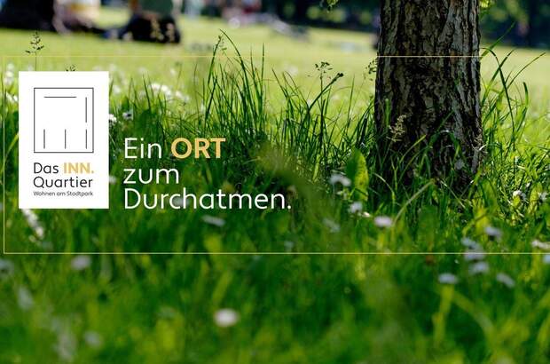 Wohnung kaufen in 4910 Ried (Bild 3)