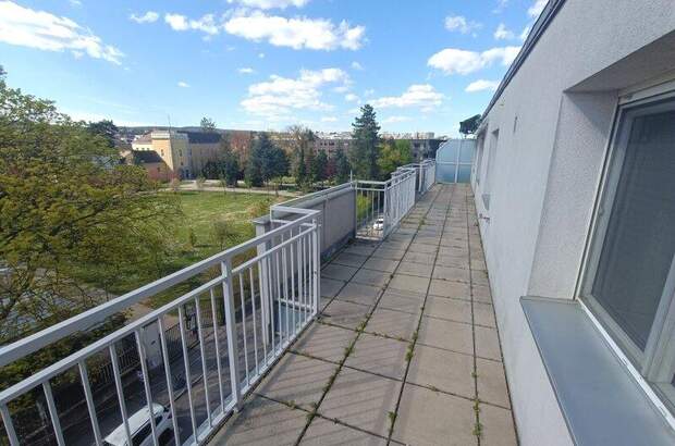 Terrassenwohnung kaufen in 1230 Wien (Bild 1)