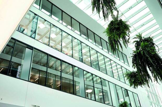 Gewerbeobjekt mieten in 4020 Linz (Bild 1)