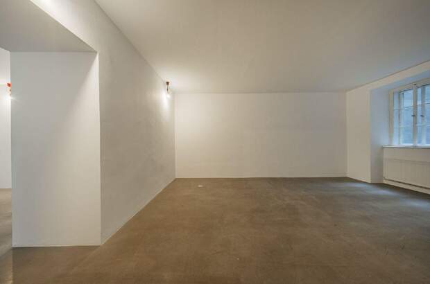 Gewerbeobjekt mieten in 1010 Wien (Bild 5)