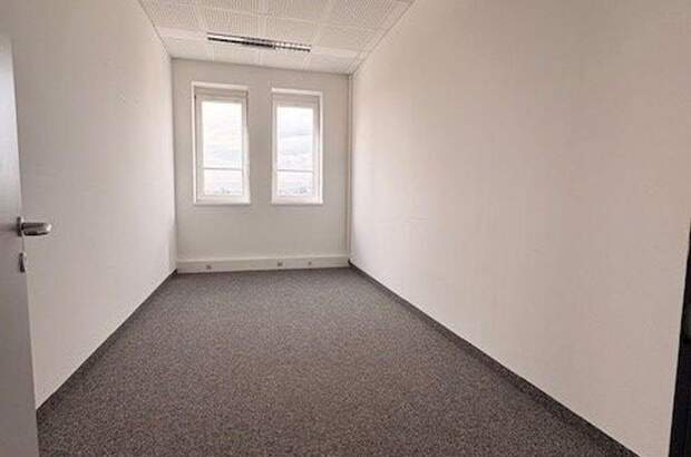 Gewerbeobjekt mieten in 8042 Graz (Bild 5)