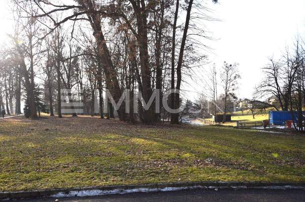 Grundstück kaufen in 4224 Wartberg (Bild 3)