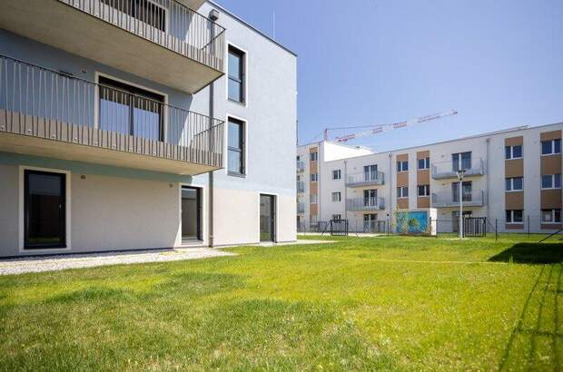 Terrassenwohnung kaufen in 2700 Wr. Neustadt (Bild 5)