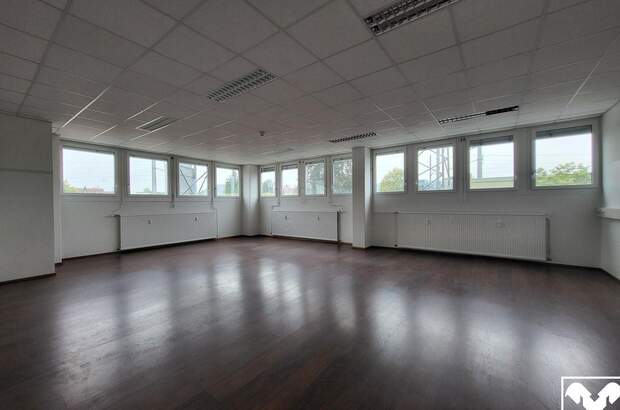 Gewerbeobjekt mieten in 4050 Traun (Bild 3)