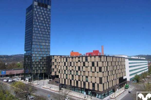 Gewerbeobjekt mieten in 4020 Linz (Bild 3)
