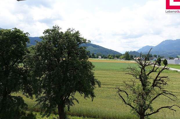 Mietwohnung in 4560 Kirchdorf (Bild 3)