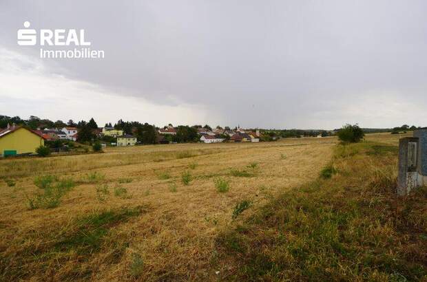 Grundstück kaufen in 2020 Magersdorf (Bild 1)